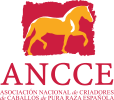 Logo_ANCCE color (Personalizado)